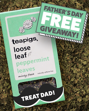 Father's Day Gift Guide